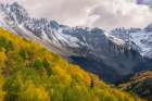 USA-Colorado-Uncompahgre National Forest San Juan Mountains and aspen forest in autumn Art Print